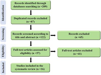 The role of ginseng derivatives against chemotherapy-induced cardiotoxicity: A systematic review of non-clinical studies
